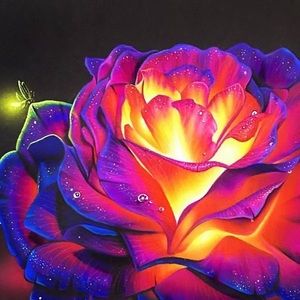 Meet your Posher, Maryama